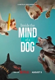 ดูหนังออนไลน์ Inside the Mind of a Dog อ่านใจสุนัข (2024)